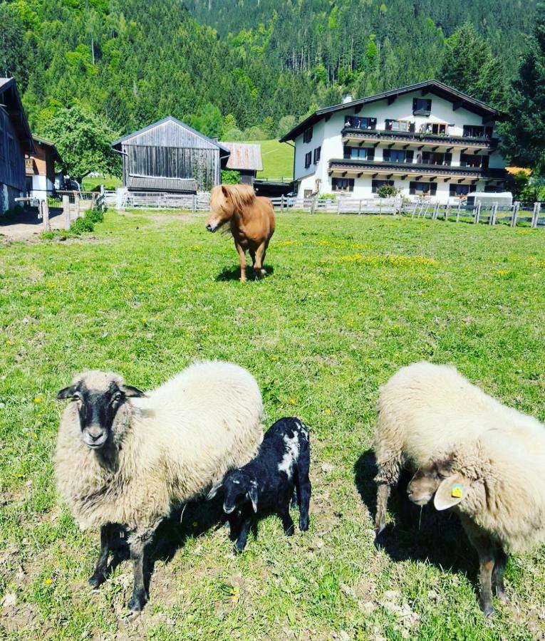 Hettlerhof Hotel Maishofen Eksteriør billede